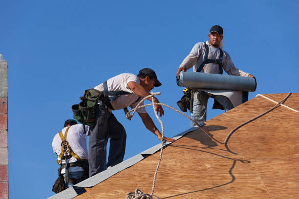 Best Best Roofing Contractors  in Carrollton, MO