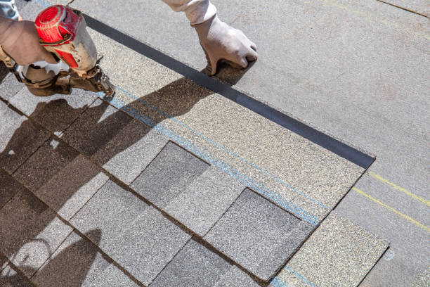 Best Roof Leak Repair  in Carrollton, MO